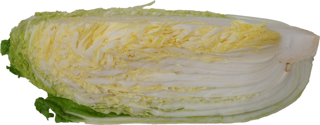 白菜とさけのみそバターフライパン蒸しの材料のはくさい