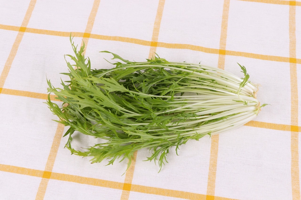 みず菜の塩昆布和えの材料の水菜