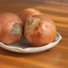 新玉ねぎスープの玉ねぎ